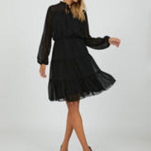 Suzy Shier Black Swiss Dot Dress